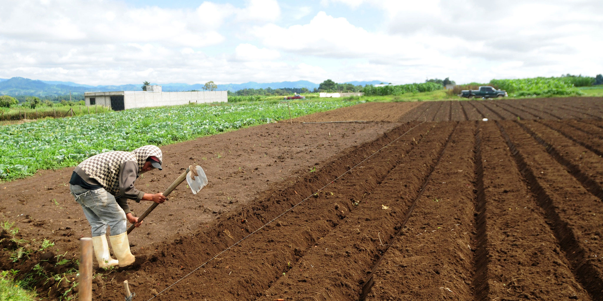 En Honduras COVID 19 está afectando a los pequeños agricultores