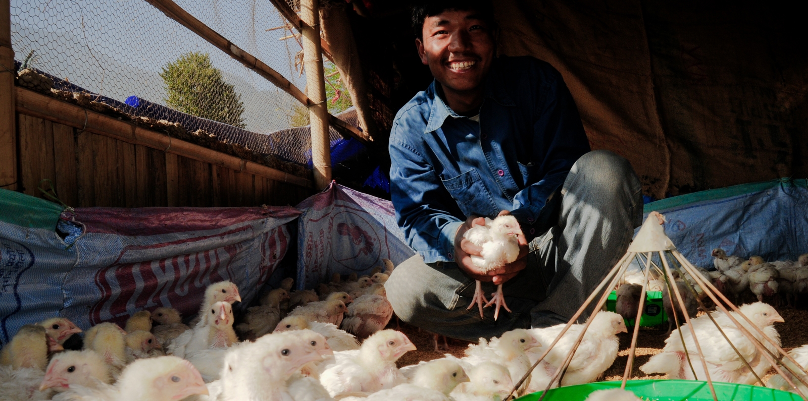 Nepal Poultry