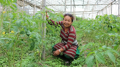 Woman Farmer - AFA