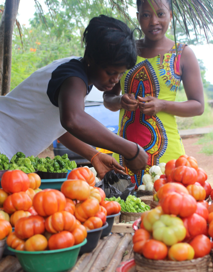 Ensuring Food and Nutrition Security