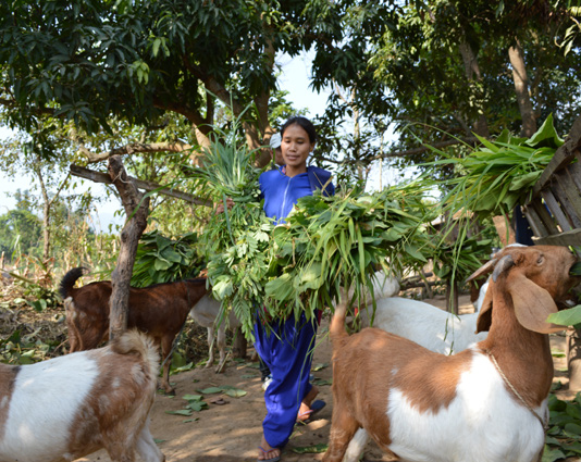 Nepal Project