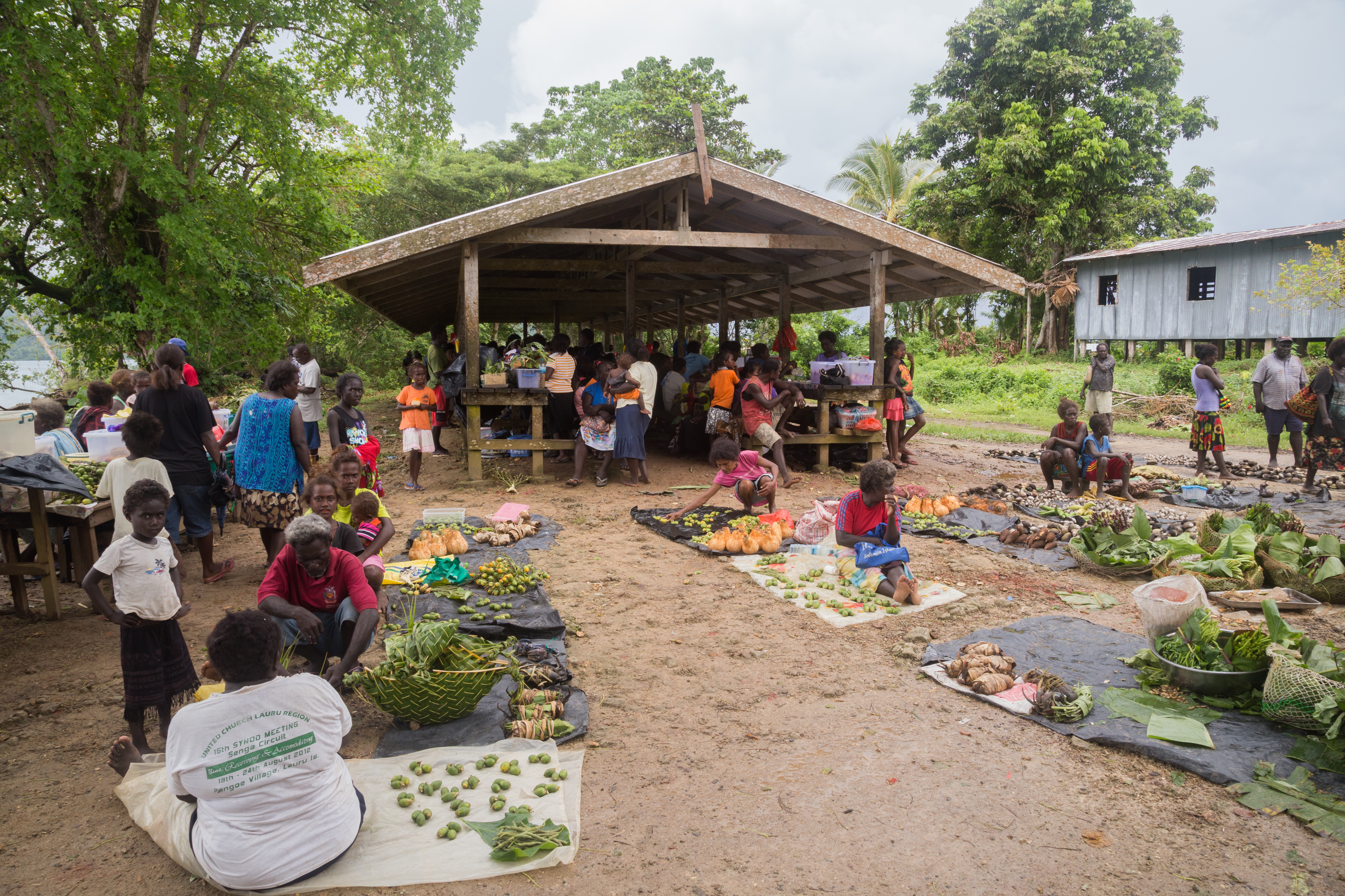 Solomon Vanuatu Project