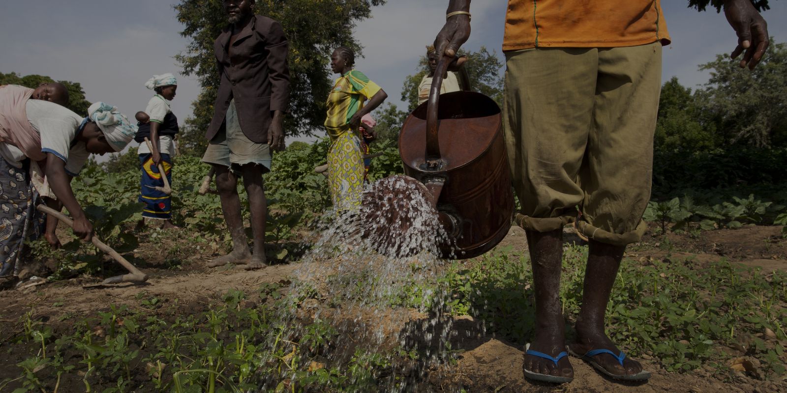 West Africa Food System Resilience Program (fsrp) - Burkina Faso 