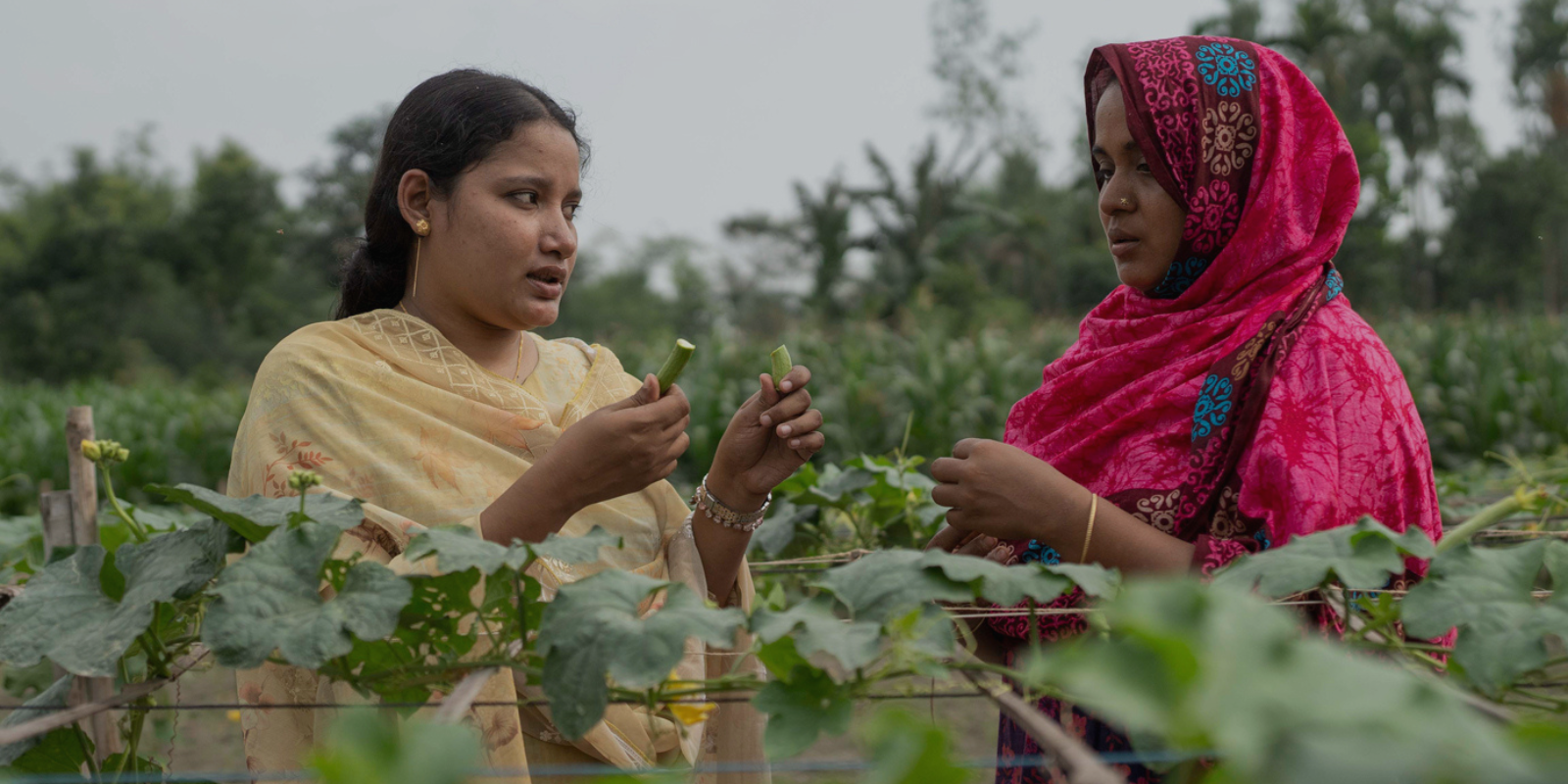 FARMERS IN BANGLADESH