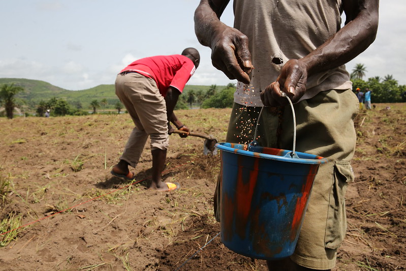 Farmers working in their fields