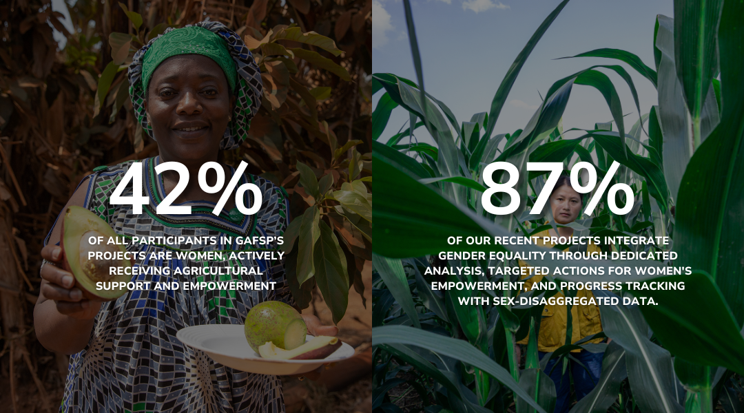 Infographic showcasing GAFSP’s impact on gender equality. Left side: A smiling woman farmer holding fruit, with text '42% – of all participants in GAFSP’s projects are women, actively receiving agricultural support and empowerment.' Right side: A woman standing in a cornfield, with text '87% – of our recent projects integrate gender equality through dedicated analysis, targeted actions for women’s empowerment, and progress tracking with sex-disaggregated data.
