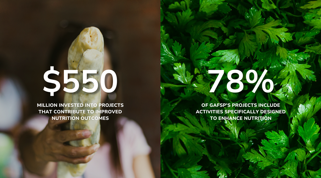 The left side shows "$550" in large white text with the caption "MILLION INVESTED INTO PROJECTS THAT CONTRIBUTE TO IMPROVED NUTRITION OUTCOMES" below it. A blurry image of a hand holding a pale vegetable is in the background. The right side shows "78%" in large white text with the caption "OF GAFSP'S PROJECTS INCLUDE ACTIVITIES SPECIFICALLY DESIGNED TO ENHANCE NUTRITION" below it. A vibrant green background of flat-leaf parsley fills the right side.