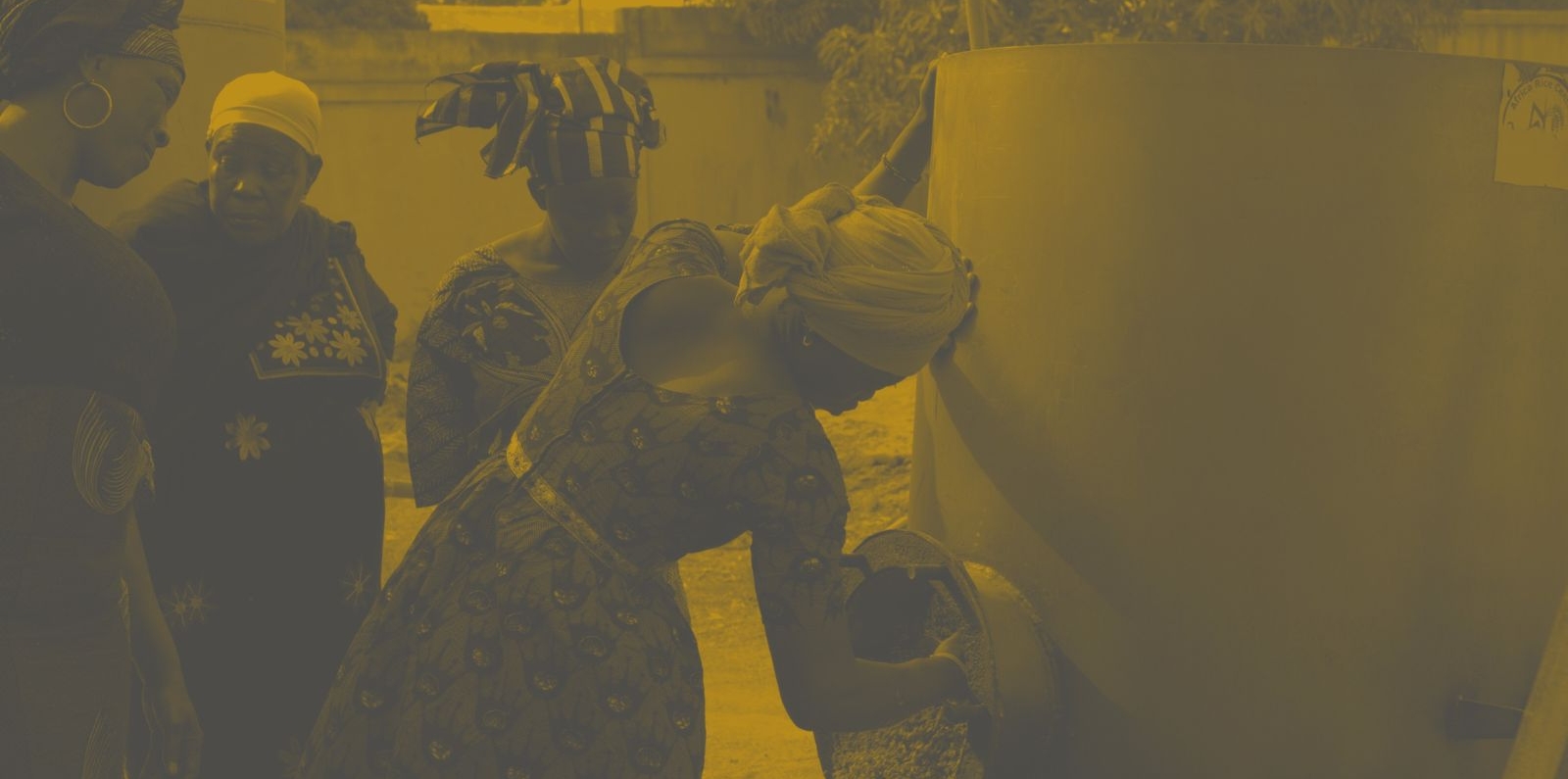 female farmers in a cooperative