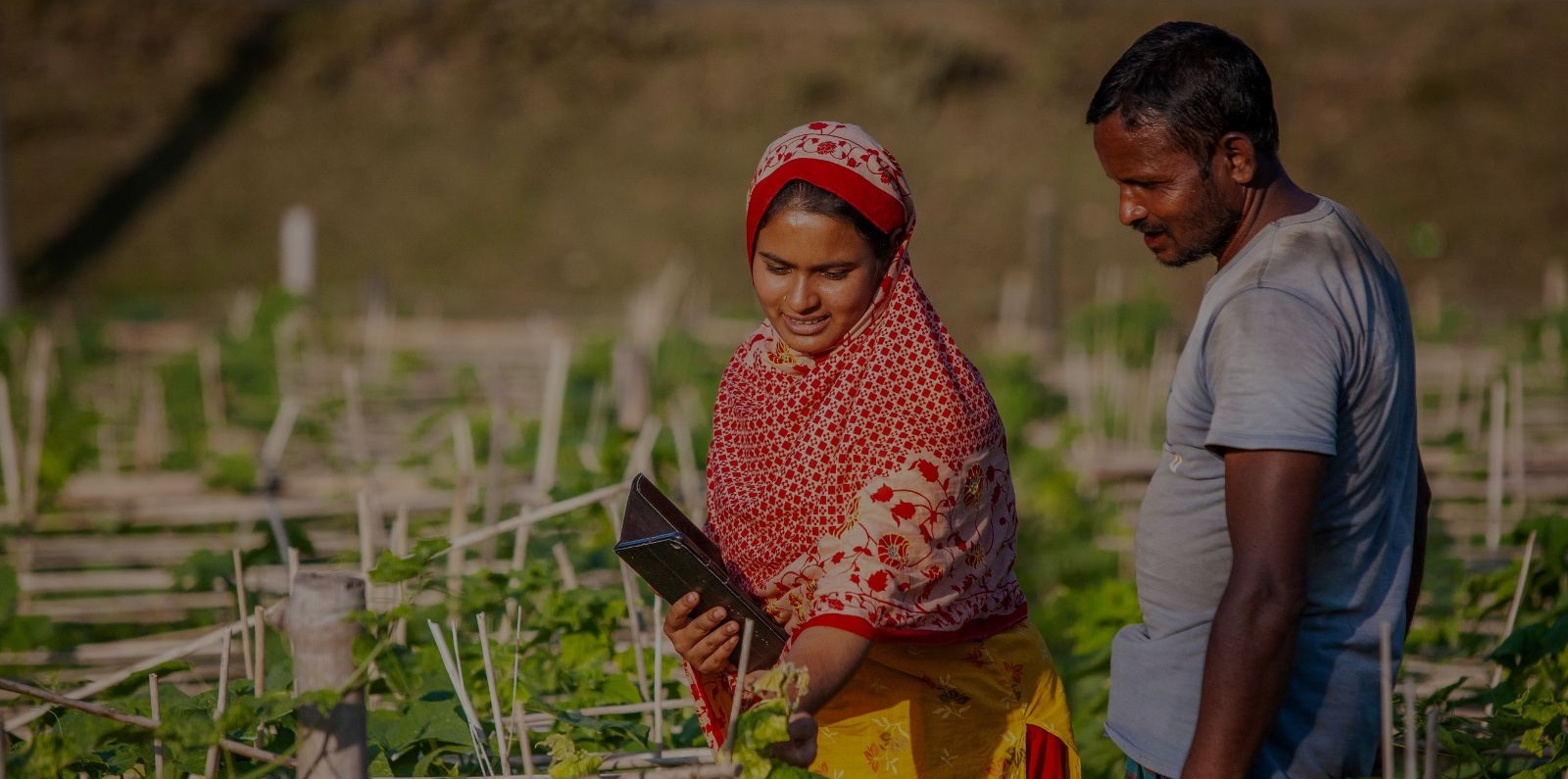 From Farms to Families: Agrigate's 'Ashar Alo' Project - Bridging the Gap  in Bangladesh's Dairy Delight!