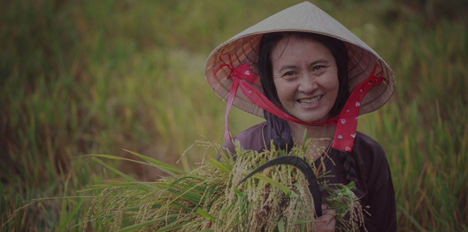 farmer hero