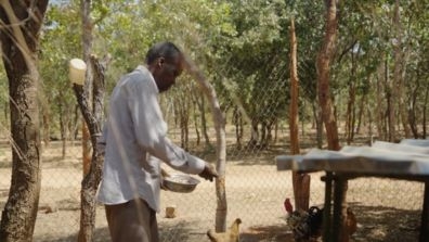 farmer feeding his chickens