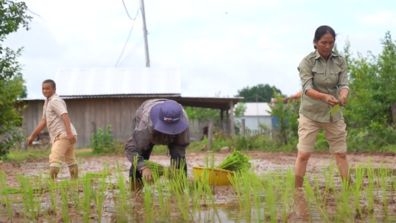 farmers in Cambodia