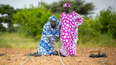 Two women farmers in vibrant patterned outfits working with irrigation pipes in a lush green field, surrounded by trees — showcasing sustainable agriculture in action.